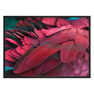 Plakát DecoKing Feathers Red, 50 x 40 cm